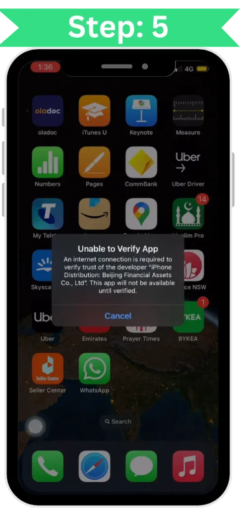 step 5 verify the fm whatsapp in apple
